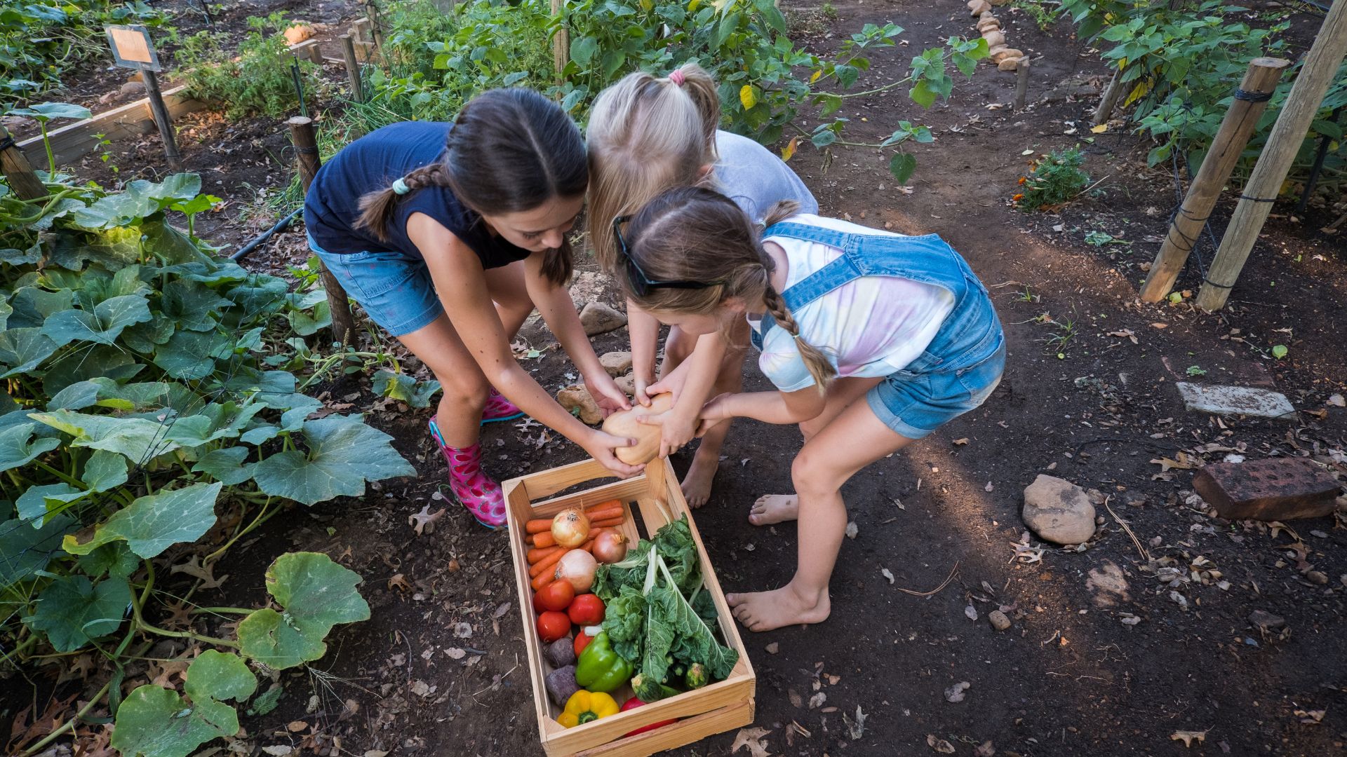 Le jardinage en permaculture : un choix éthique et durable pour un potager  responsable - By Sun Maison